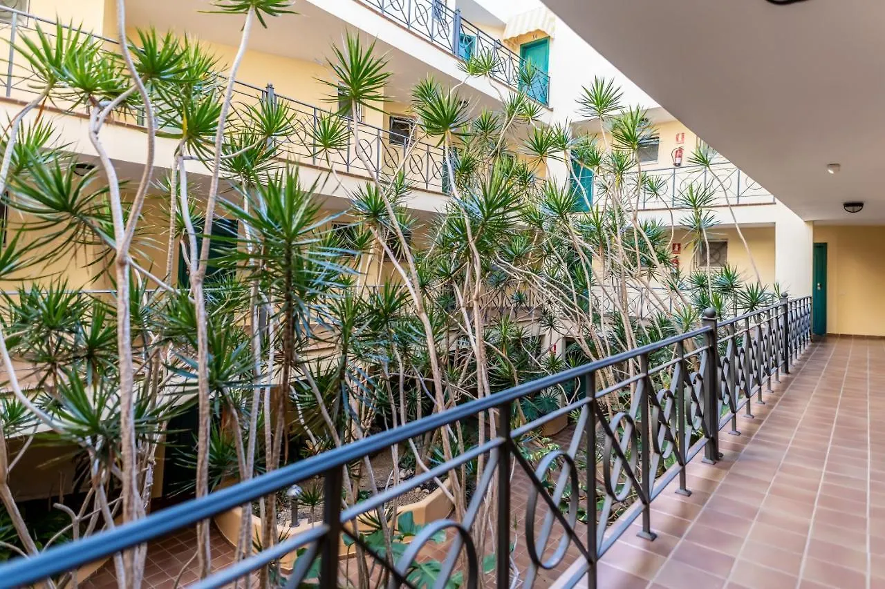 Tropical Holiday Apartment Los Cristianos  0*, Los Cristianos (Tenerife)